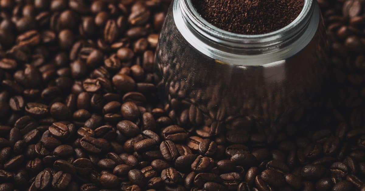 Different coffee bean varieties side by side