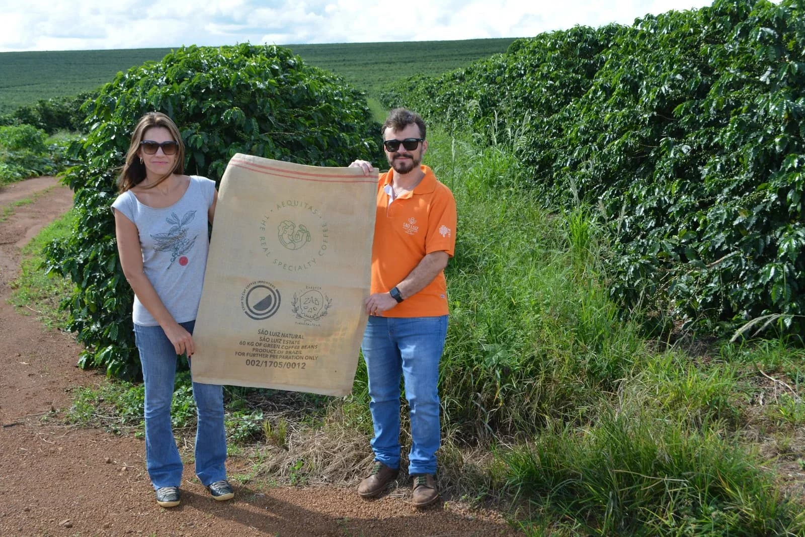 Brazil Yellow Catuai Specialty Coffee Beans, grown at Fazenda Sao Luiz
