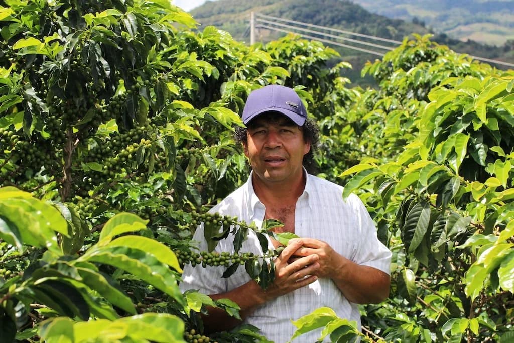 Colombia Huila Decaf Specialty Coffee Beans, grown at Finca Tamana