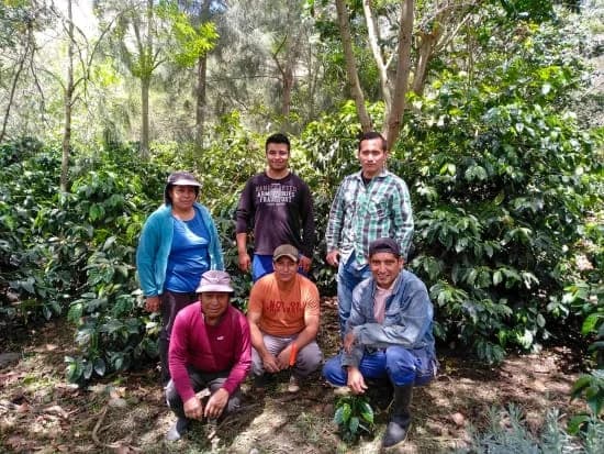 Finca Terrazas del Pisque coffee farm in Pichincha, Ecuador