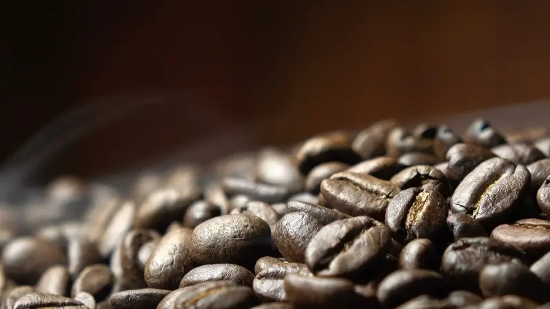 Beanlytics specialty coffee beans
