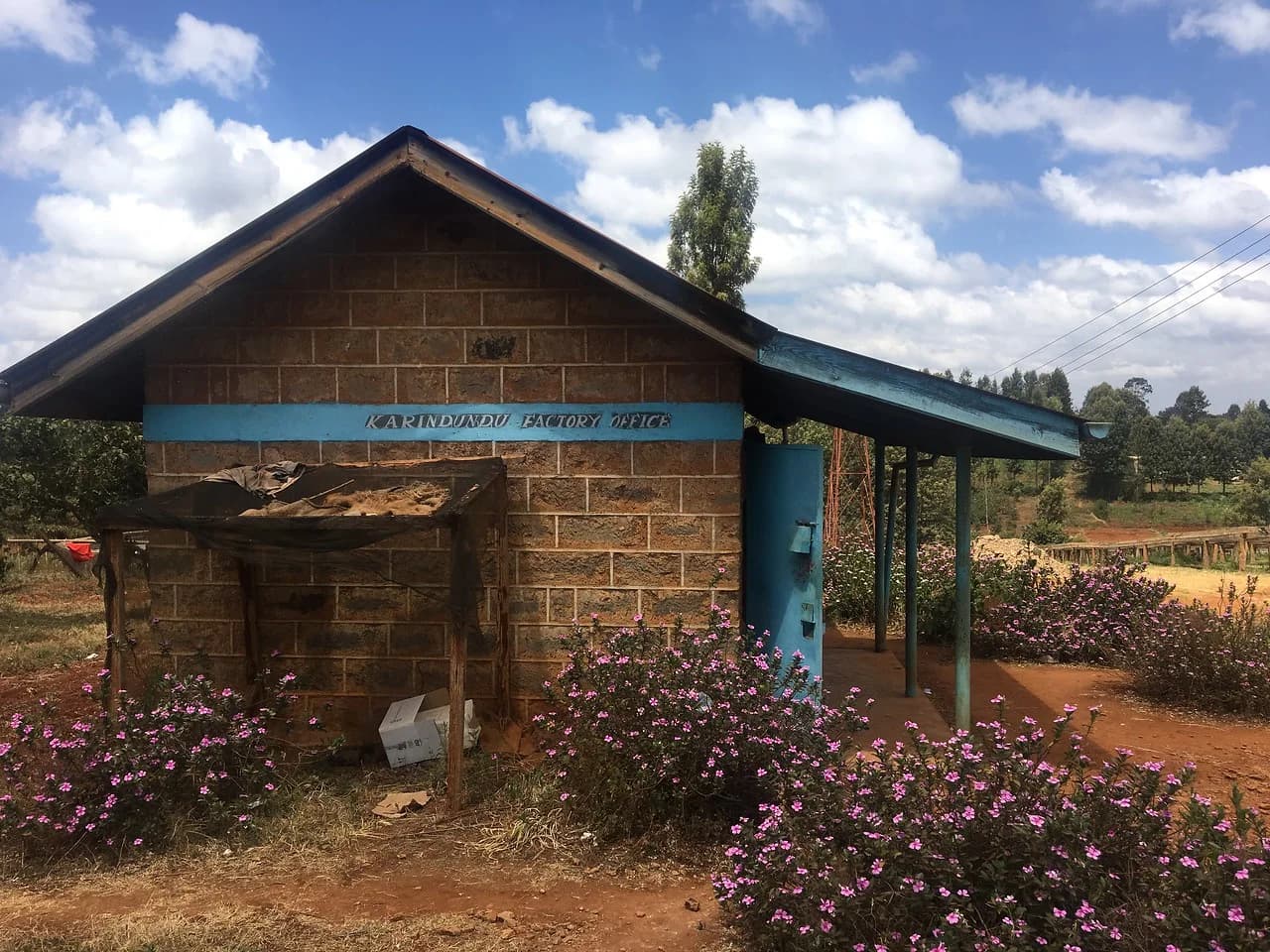 Kenya Karatina SL28 Specialty Coffee Beans, grown at Katindundu Nyeri