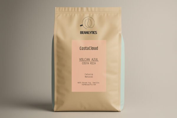 CostaCloud wholesale coffee bags by Beanlytics Coffee Roasters, featuring high-quality specialty beans for cafés and coffee businesses.